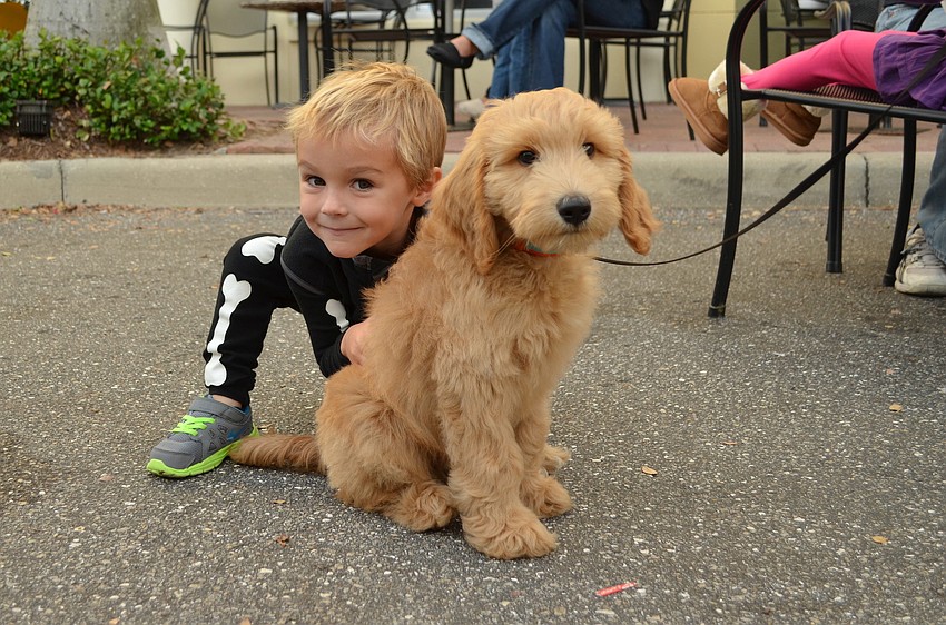 Macklin Higgins with Mango, the goldendoodle puppy.