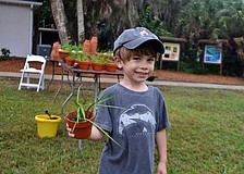 Max Majorski, 3, makes plans for his new plant.