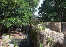 The Central and South American inspired-rainforest includes more than 1,000 plants.