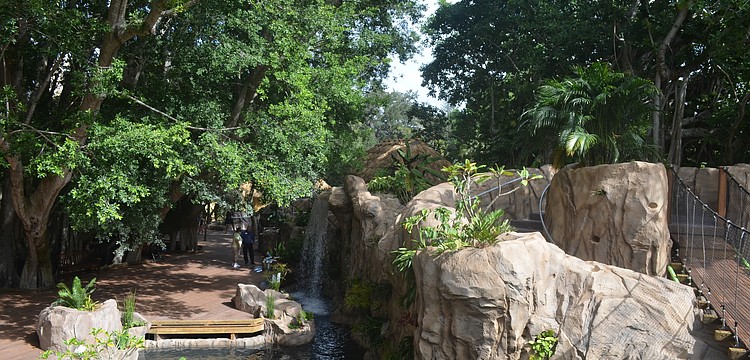 The Central and South American inspired-rainforest includes more than 1,000 plants.