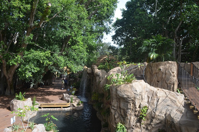 The Central and South American inspired-rainforest includes more than 1,000 plants.