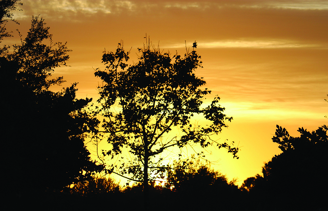 Vincent Veneruso submitted this sunrise photo, taken in Lakewood Ranch.