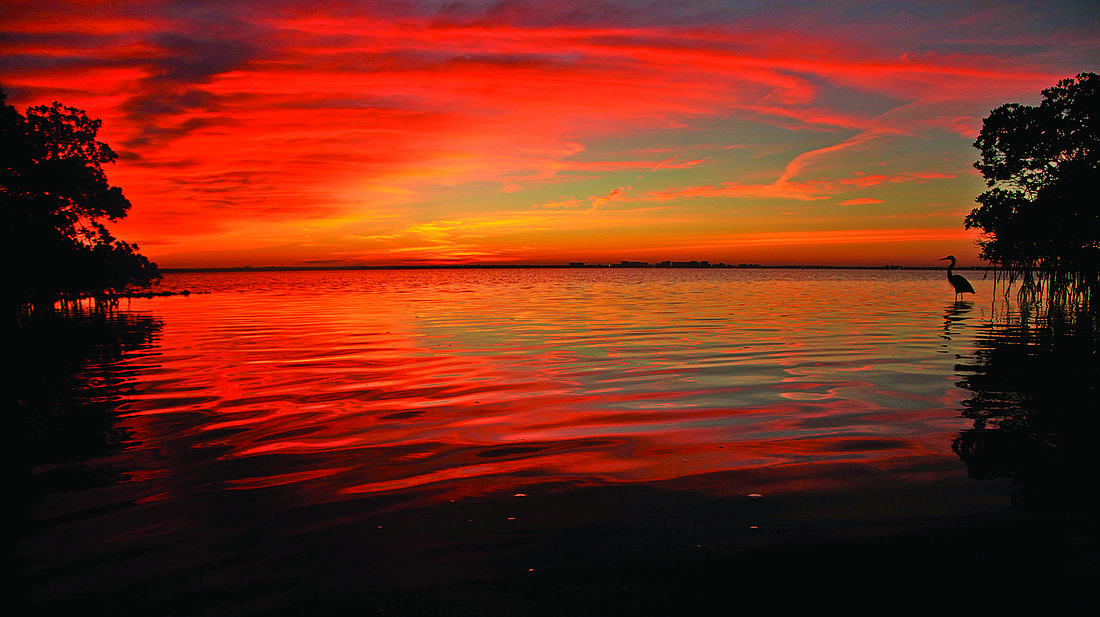 John Caviglia submitted this sunrise photo, taken overlooking the Sarasota skyline from Longboat Key.