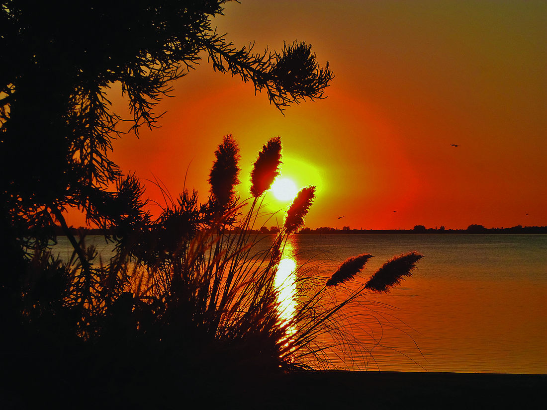 Doreen Steinhauser submitted this sunset photo, taken near Palma Sola Bay in Bradenton.