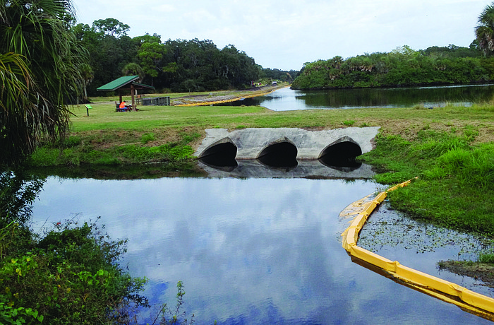 The project in Red Bug Slough aims to filter runoff and improve water quality in nearby Roberts Bay.