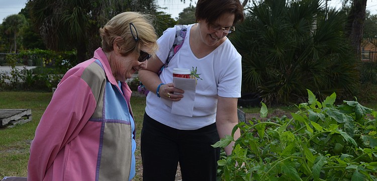 Betty Levitt and Laura Hershorin