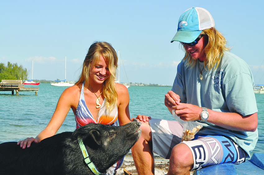 Miniature potbellied pig Bacon, with owners Molly Lefevre and Lance Plowman, escaped from a fire in February on Gulfside Road by squeezing himself â€” potbelly and all â€” through the small glass panel of a jalousie window.