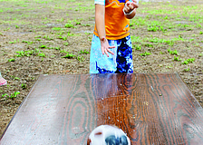 Vincent D'Amato plays a milk bottle bowling game during Dakin Dairy's family fun day June 15. 2