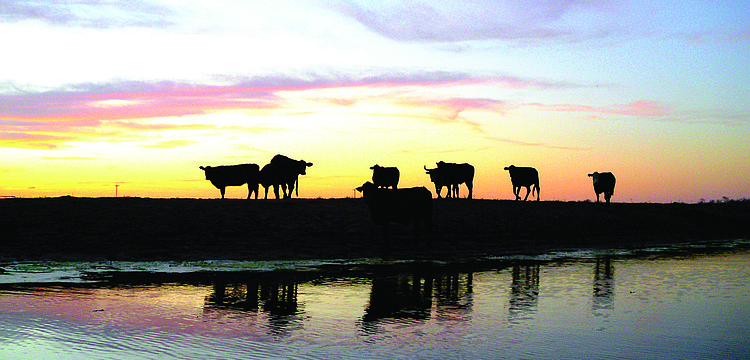 The Kibler family ranch was set to go to auction June 6.