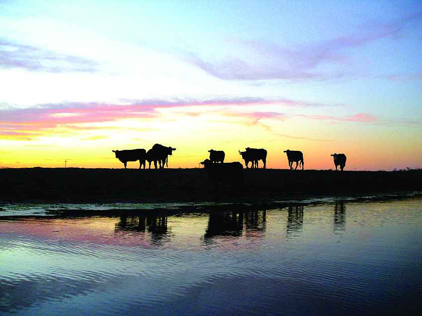 The Kibler family ranch was set to go to auction June 6.