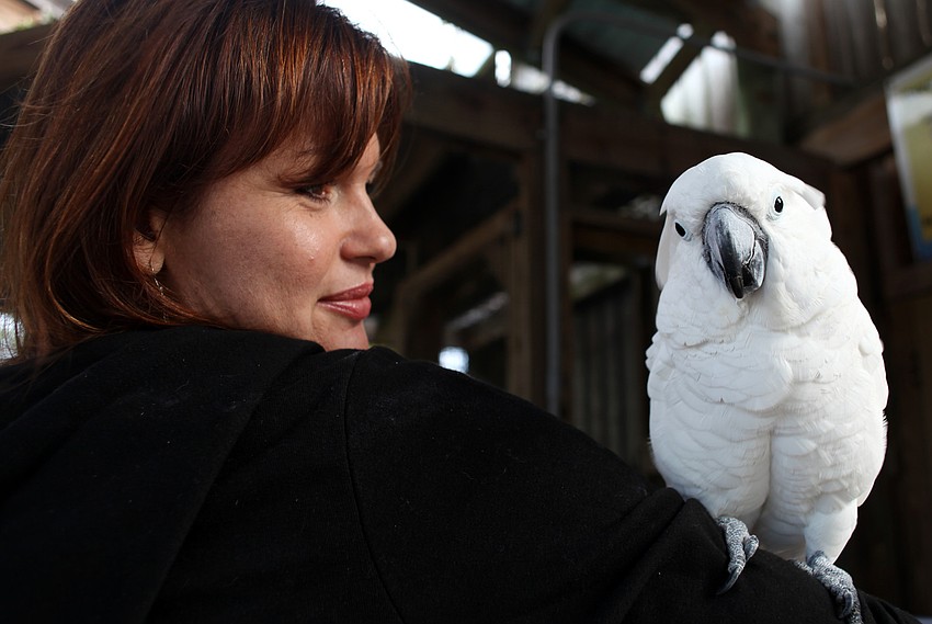 Valerie Dimond and Gabby, an Umbrella Cockatoo, greet visitors.