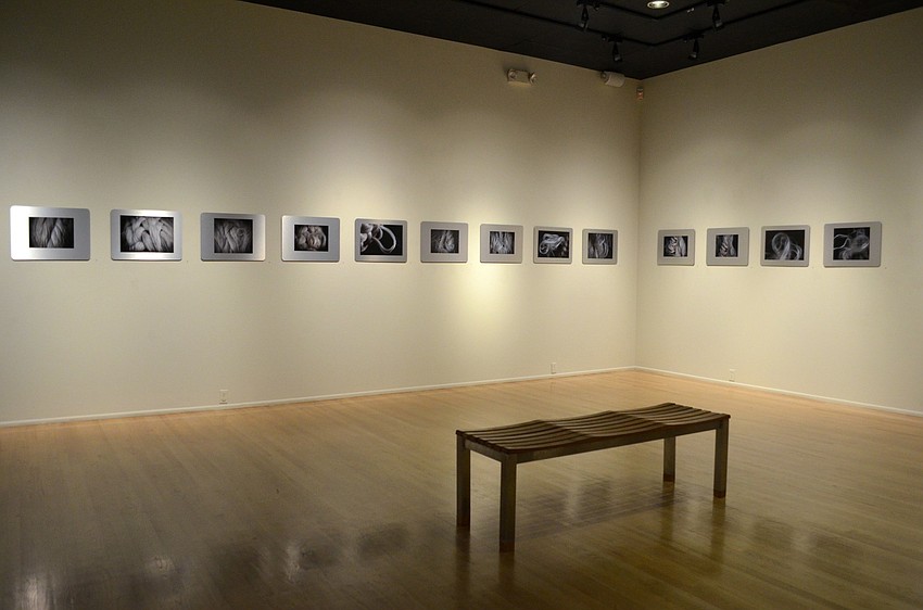 Gallery I, displaying the work of Huguette Despault May, featured 14 archival ink jet prints mounted on anodized aluminum.