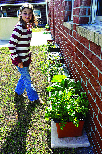 Amanda Sebastiano Nine-year-old Zoey Lipton cares for fruits and vegetables located inside EarthBoxes at B.D. Gullett Elementary School.