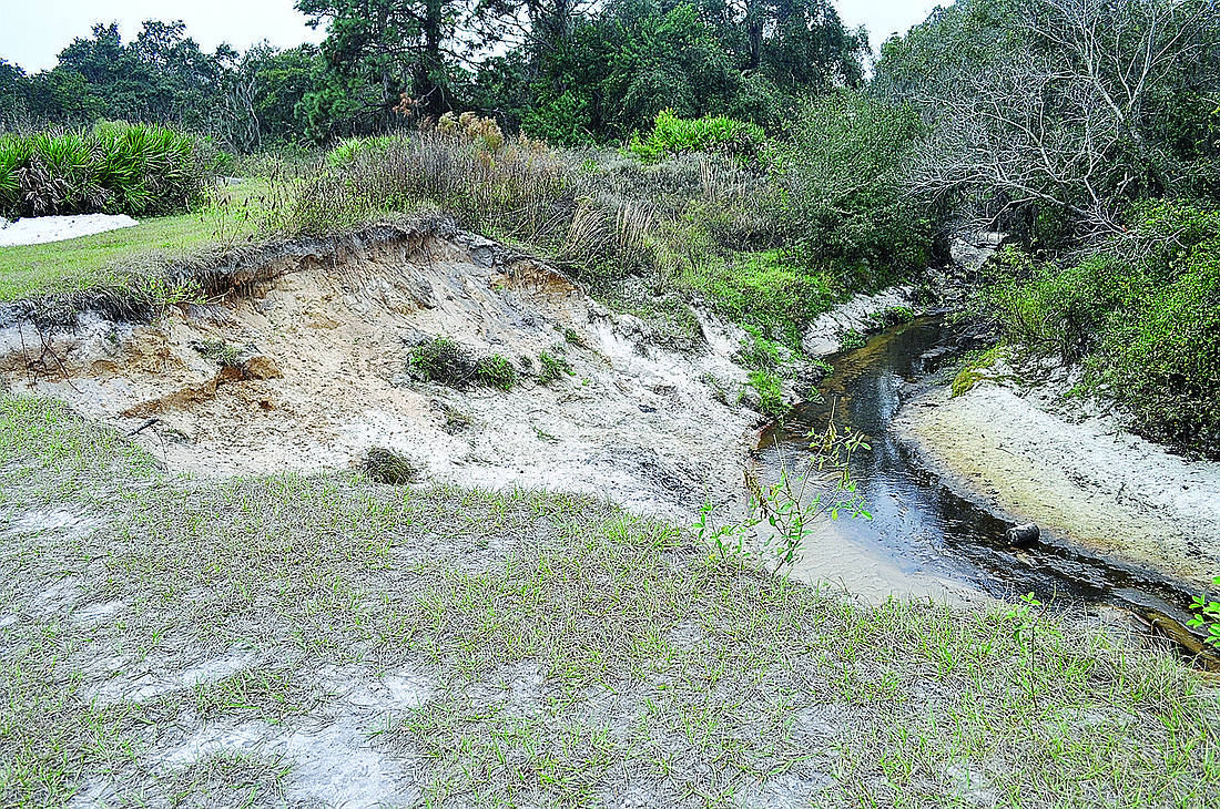 Photos by Josh Siegel Before work began an eroded bank of the Braden River allowed water to overlow into a nearby walking path and pond.