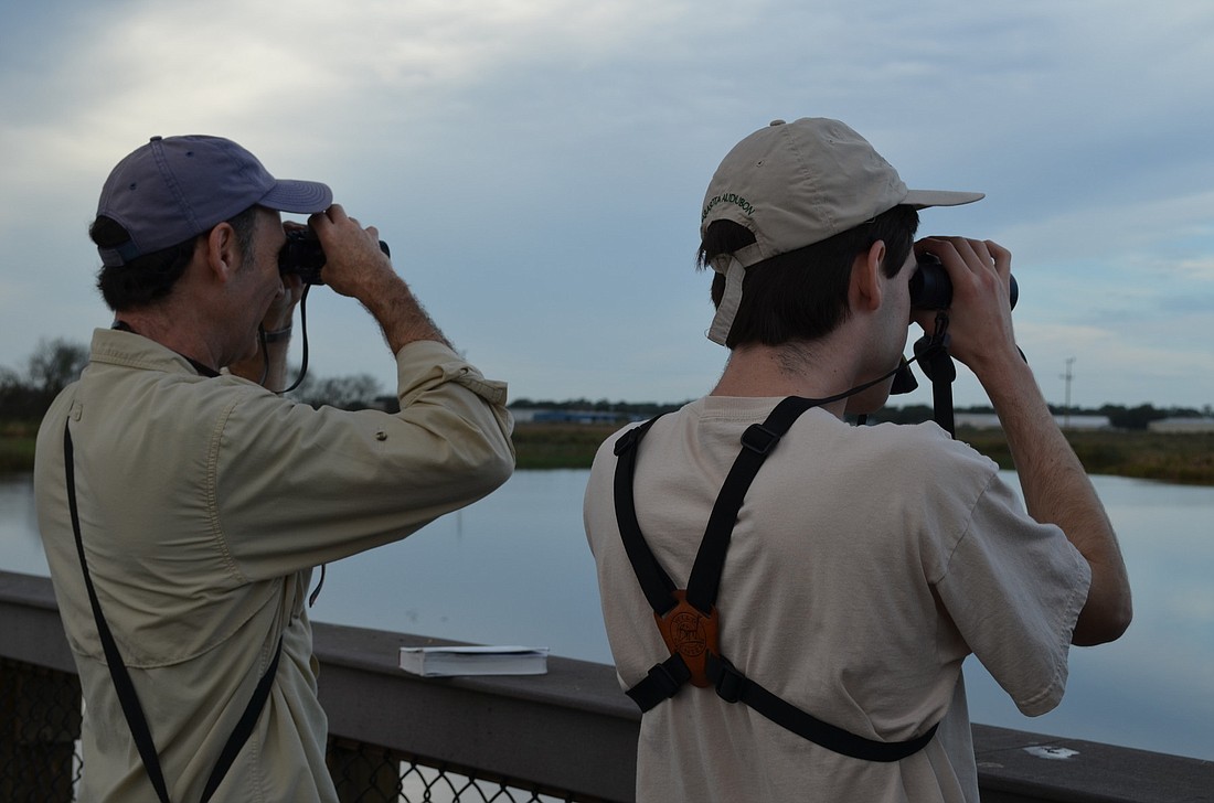 Bird naturalist Matthew Press (right) and his father, David, look for birds at the Celery Fields.
