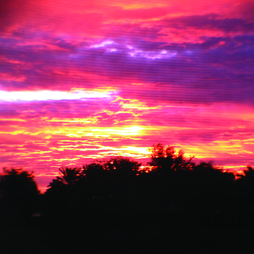 Sue Gates submitted this sunrise photo, taken through her screened lanai at the Cascades at Sarasota.