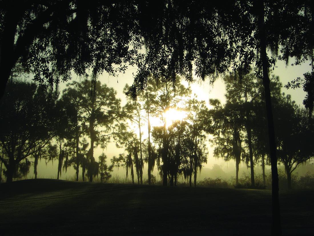 Ronna High submitted this sunrise photo, taken overlooking the Rosedale golf course.