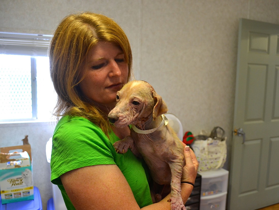 Karen Slomba and volunteers from Nate's Honor Animal Rescue's Ranch Adoption Center brought in more than 60 dogs and cats, collectively, which they have bathed, vaccinated and will tend to until further notice.