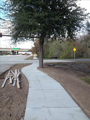 Courtesy photo The Florida Department of Transportation changed the curve of this sidewalk to save a tree, pictured here.