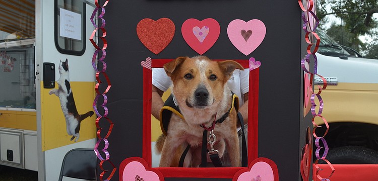 Cowboy waits to be kissed.