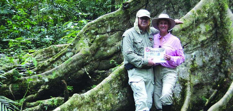 BRANCHING OUT. Longboat residents Ed and Terry Kolodzieski read their Longboat Observer at the roots of a towering tree while at the Pacaya Samiria Reserve in Peru.