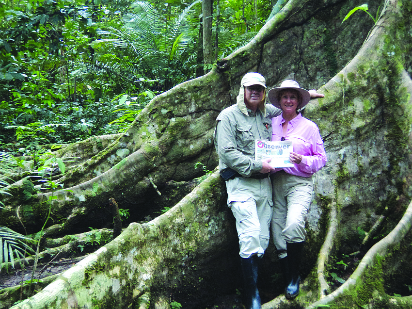 BRANCHING OUT. Longboat residents Ed and Terry Kolodzieski read their Longboat Observer at the roots of a towering tree while at the Pacaya Samiria Reserve in Peru.
