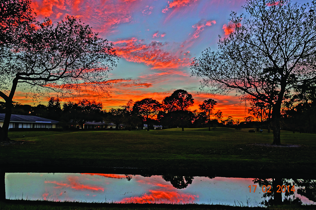Philip Stone submitted this photo, taken overlooking the seventh tee at the Palm-Aire golf course.
