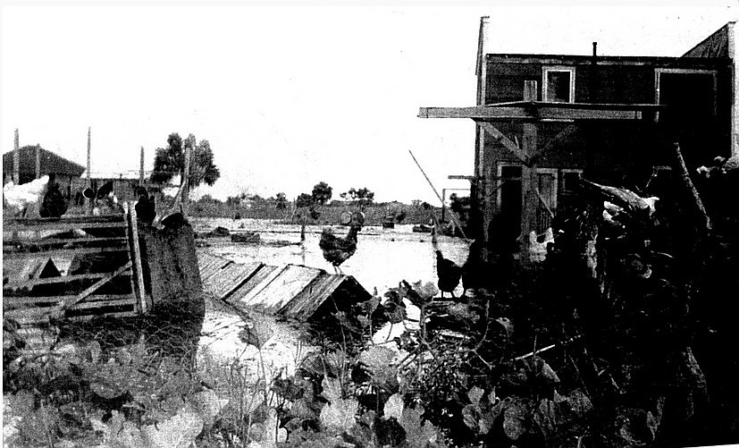 The Key was home to several farms in the early 20th century until a 1921 hurricane destroyed most of the island.