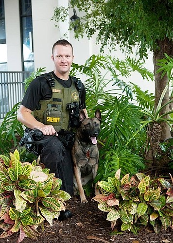 Deputy Brian Biegel and K9 Ryker attended 80 hours of training, which included searching dozens of vehicles, thousands of parcels and conducted more than a dozen building and area searches.