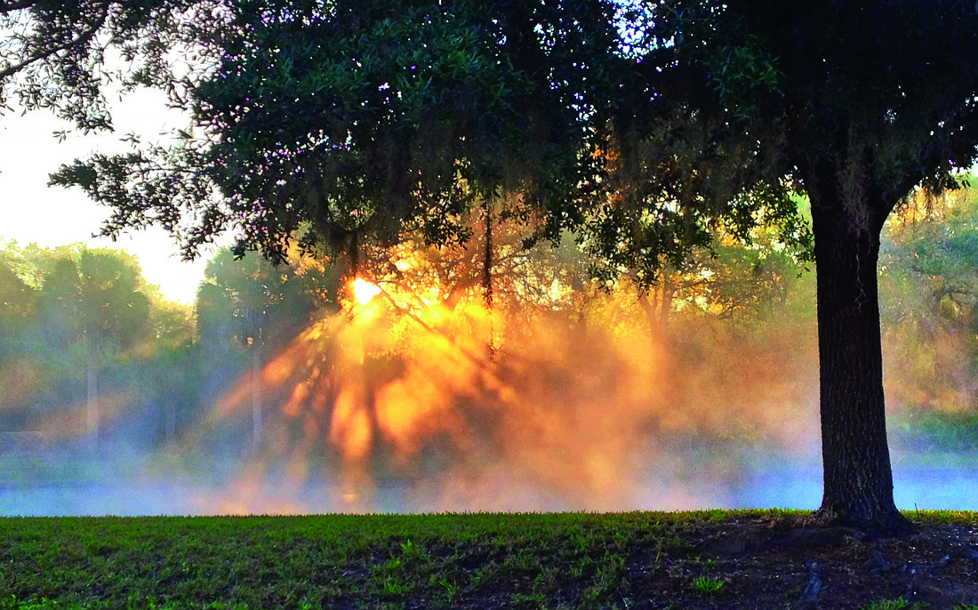 Patricia Orzechowski submitted this sunrise photo of mist reflecting off a pond in Nokomis.