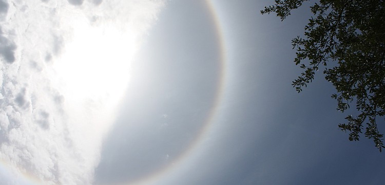 Linda Korff submitted this photo of the halo, taken from her driveway in Bradenton.