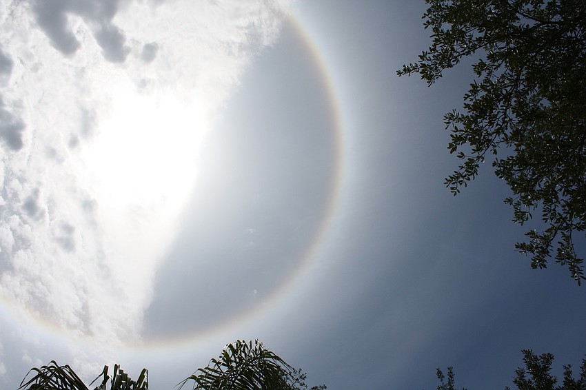 Linda Korff submitted this photo of the halo, taken from her driveway in Bradenton.
