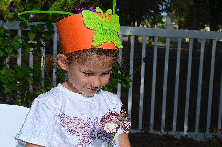 The butterfly on Chiana Webberâ€™s carnation munches on the sugar-covered carnation before flying away.