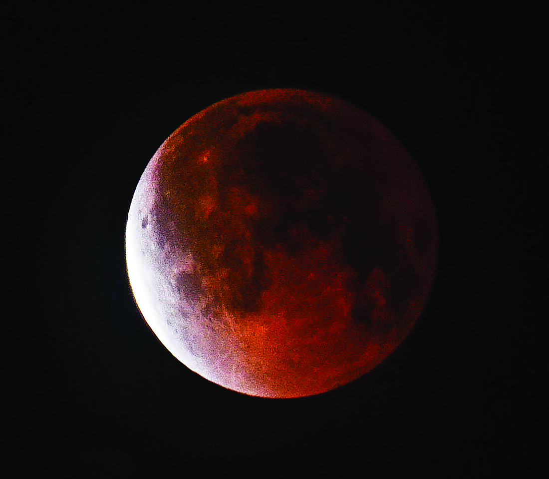 Annamarie Hedekin submitted this photo of the blood moon, taken from Casey Key.