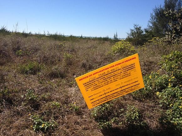 The vacant lot at 162 Beach Road is covered in shoreline-stabilizing vegetation, and has never been developed.