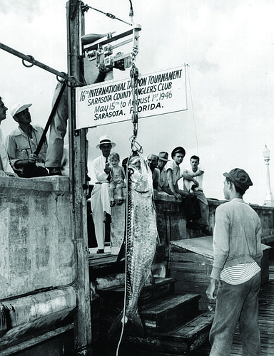 Competitors admire a catch at the Sarasota Tarpon Tournament in 1946. Courtesy photo
