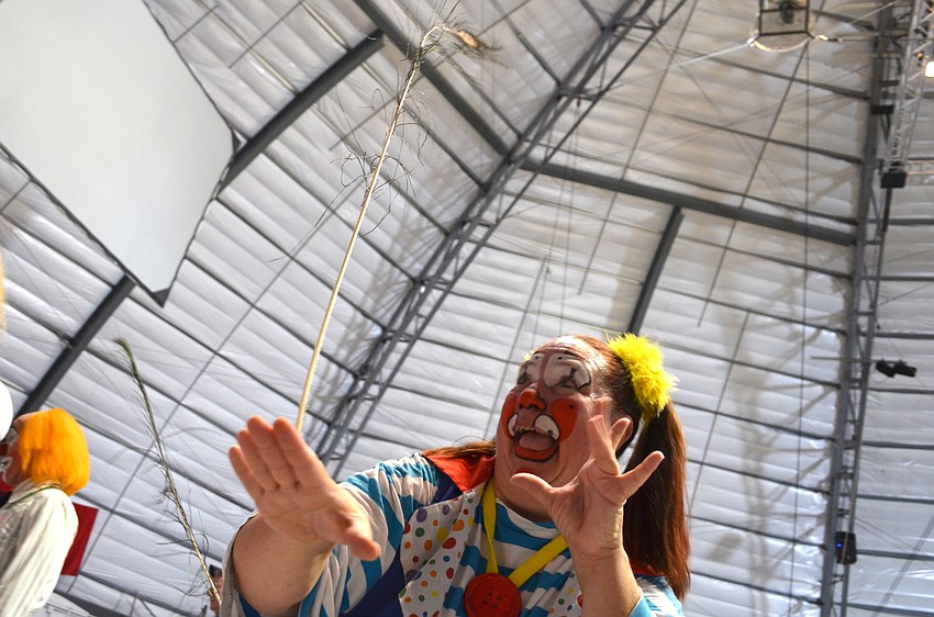 Tina Bausch's peacock has seen better days, Class of 85.