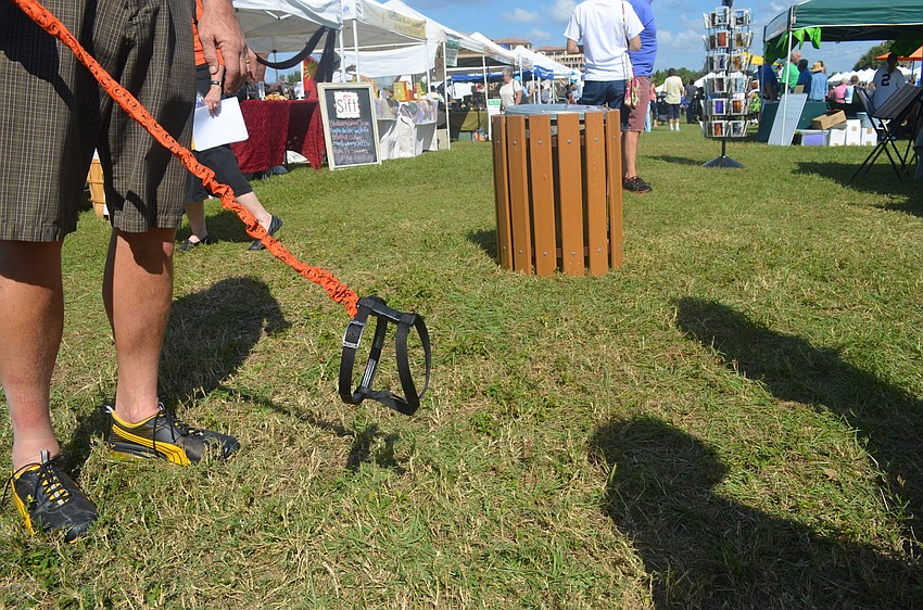 Vanish the ghost terrier