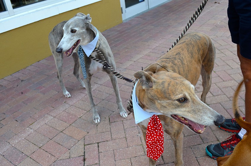 Heisman and Alex dress for the occasion.