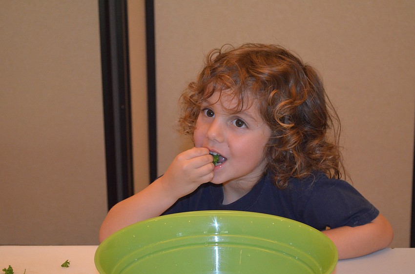 Eli Winters tries the parsley after dipping it into salt water.