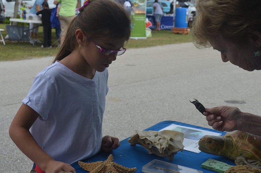 Valerie Shulkin at the Mote Marine booth