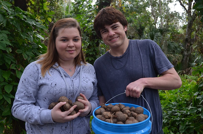 Rachel Tuffland and Phillip Schmutz collected over 100 pounds of potatoes.