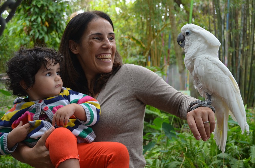 Amanda Schumer and Apareeida Torres meet Wyatt.