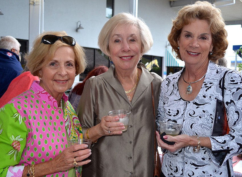 Mary Richardson, Gerda Toth and Jill Williams