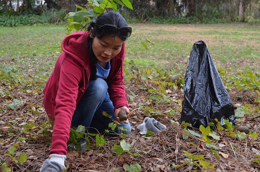 Ashley Wang says the roundup is a great workout.
