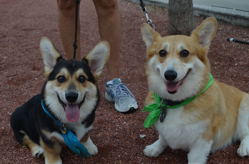 Toby and Maggie make their way around the park.