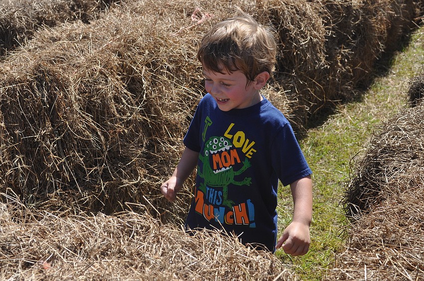 Damon Hendry, 3, got lost in the corn maze.