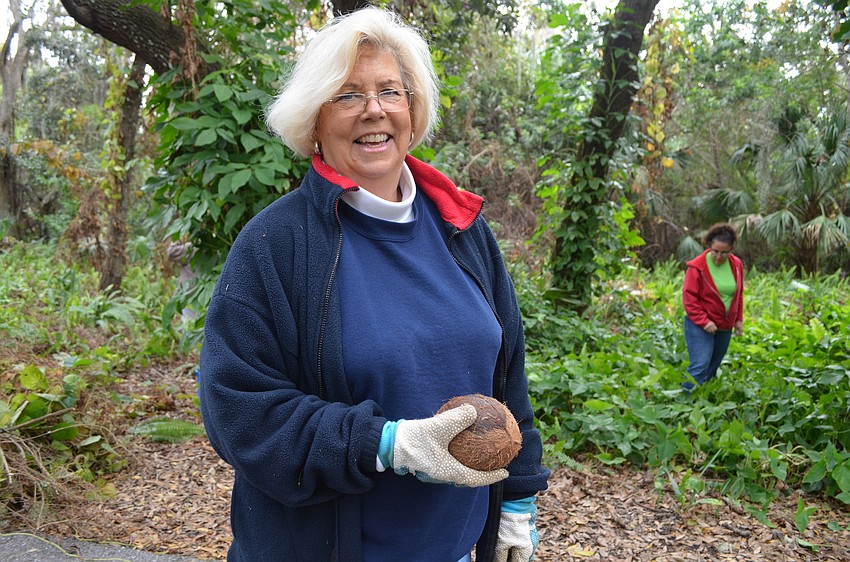 Grace Whitehouse found a coconut.