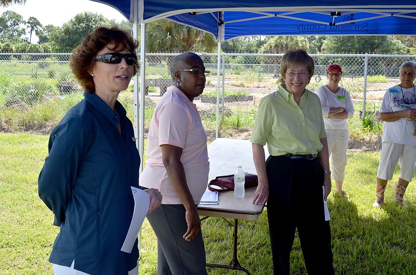 Carolyn Brown, Carolyn Mason and Nora Patterson
