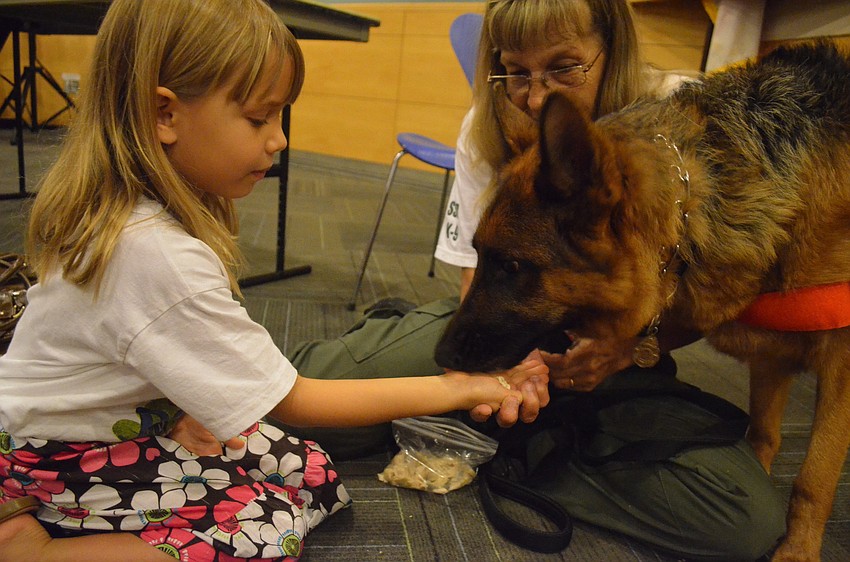 Five-year old Audrey Olmstead feeds rescue K-9 Ana chicken.